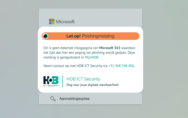 De melding die de Anti-Phishing Tool toont in de browser.